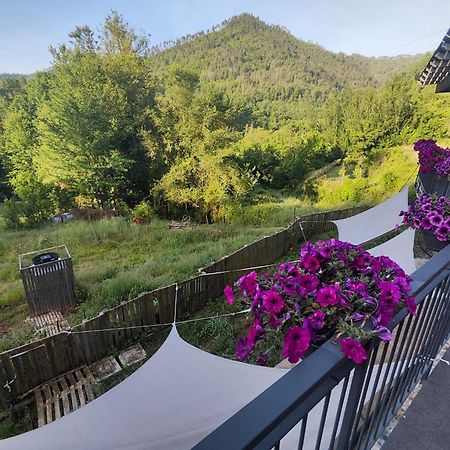 Agriturismo Terre Di Ginepro Боргето ди Вара Екстериор снимка